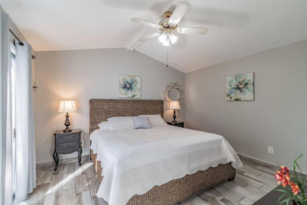 タンパ Town 'N' Country Cozy Corner, Your Florida Fun Hubヴィラ エクステリア 写真